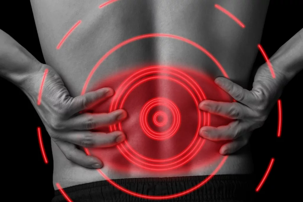 What Organs Can Cause Lower Back Pain?